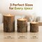Bark Wooden Pillar Tree Stump Tea Light Rustic Candle Holder - Set of 3